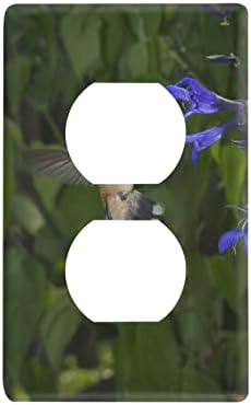 Yyzzh Hummingbird האכילה על פרחי סלביה כחולים שחורים על יער ירוק מטושטש
