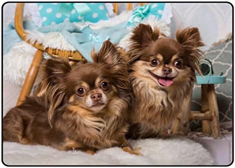זוחל שטיח מקורה משחק מחצלת צ'יוואווה כלבים לסלון חדר שינה משתלת חינוכית חינוכית שטיחים שטיחים 80x58 אינץ '